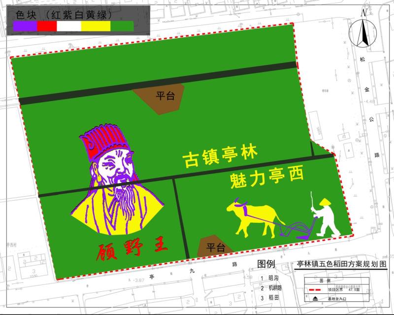 北斗卫星神定点，五彩水稻绘传奇